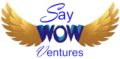 Say Wow Ventures